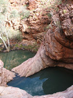 _where the walk becomes a scramble